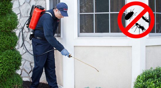 Doğanhisar Bit İlaçlama böcek ilaçlama ve haşere kontrolü — ilaclama-tr.com